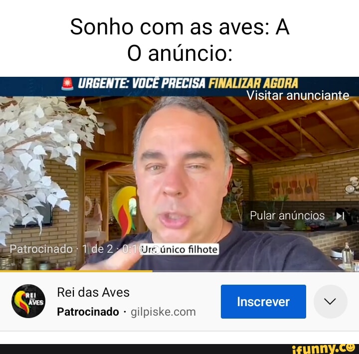 Sonhol memes. Best Collection of funny Sonhol pictures on iFunny Brazil