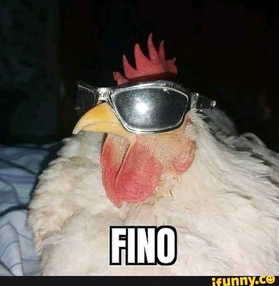 Fiño memes. Best Collection of funny Fiño pictures on iFunny Brazil