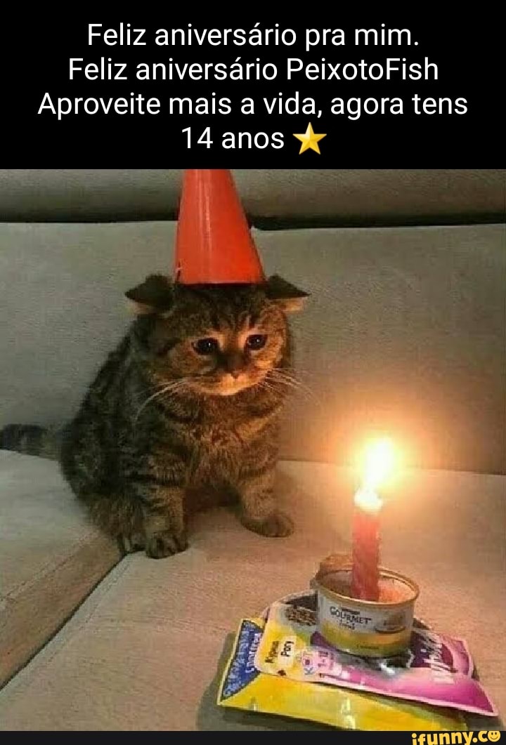 Memes De Aniversário Para Mim