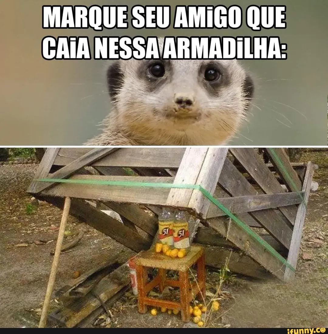 NÃO CAIA NESSA ARMADILHA!