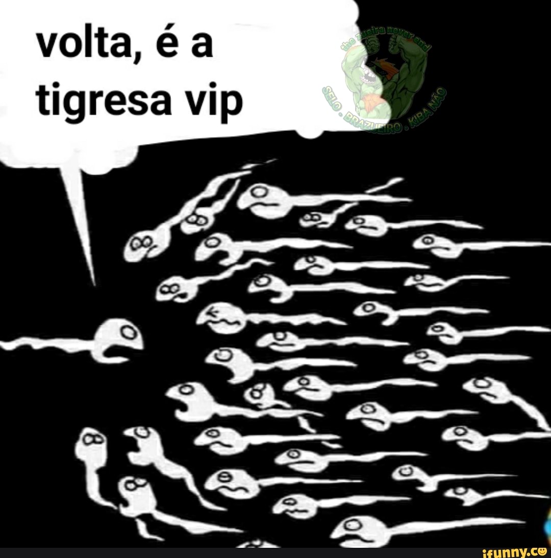 Volta, é a tigresa vip - iFunny Brazil