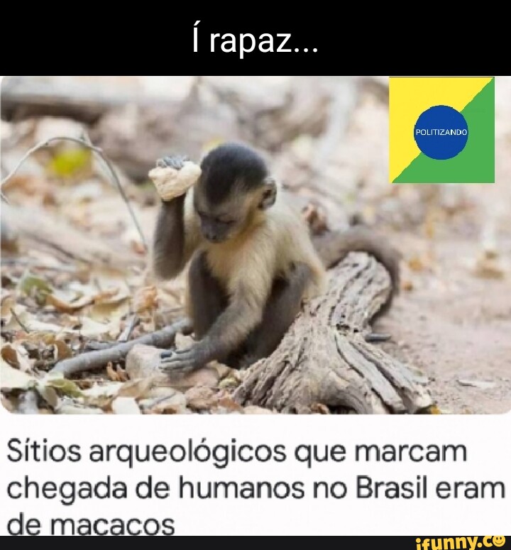 Sítios arqueológicos que marcam chegada de humanos no Brasil eram de macacos