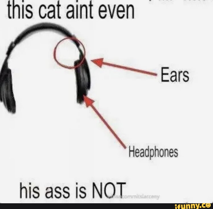 I forgor the ears es - iFunny Brazil