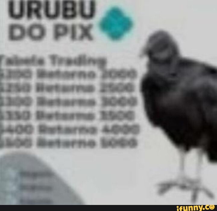 Ironiza memes. Best Collection of funny Ironiza pictures on iFunny Brazil