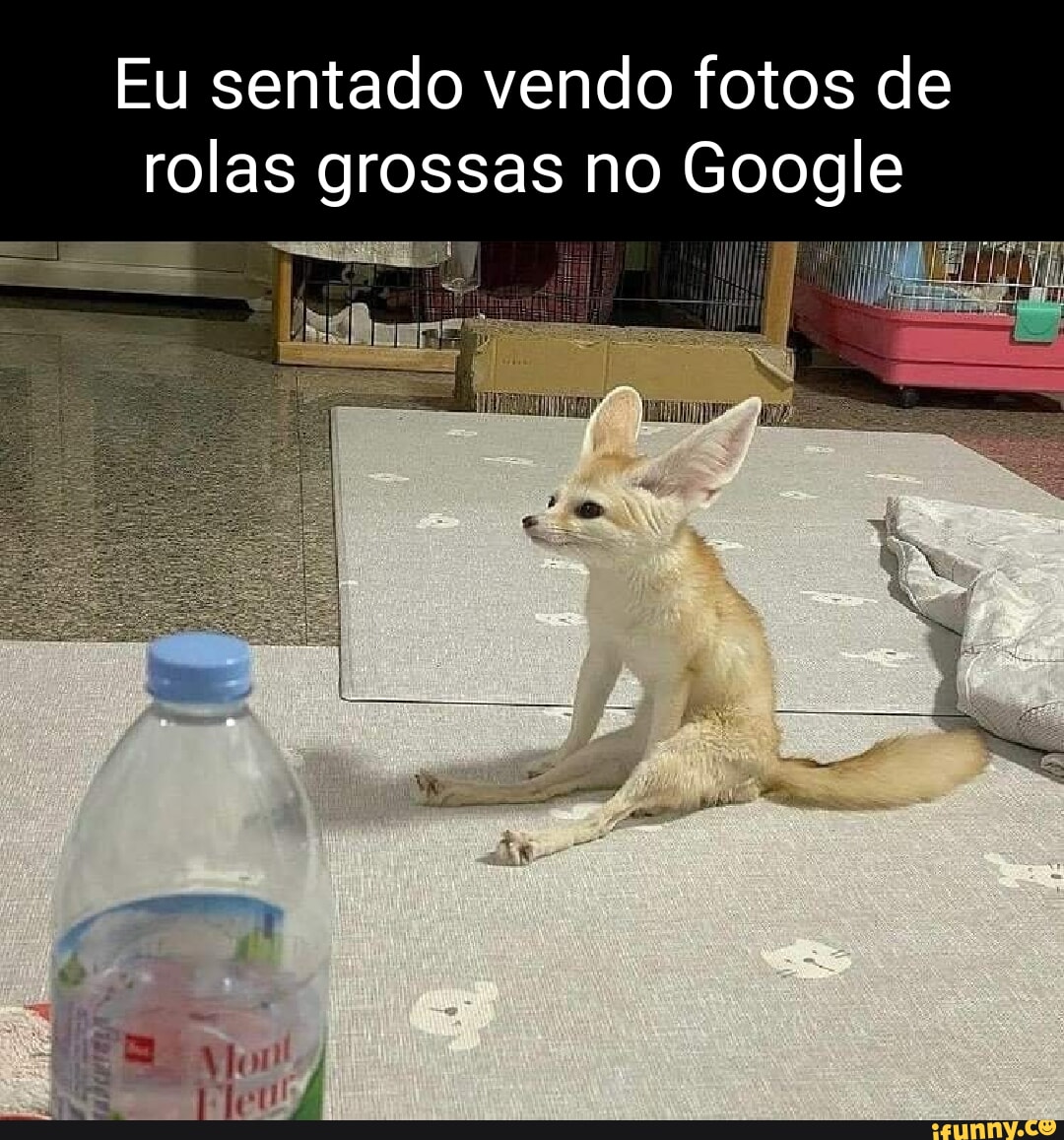 Grossas memes. Best Collection of funny Grossas pictures on iFunny Brazil