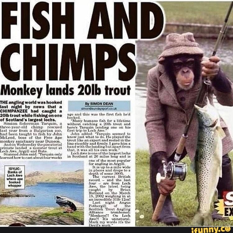 monke fishing