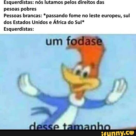 Subwaycato memes. Best Collection of funny Subwaycato pictures on iFunny  Brazil