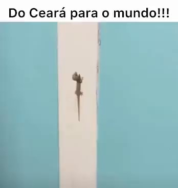 DO ME DEDEZINHO MEGAMENTE NO INTERIOR DO CEARÁ É PRESO - iFunny