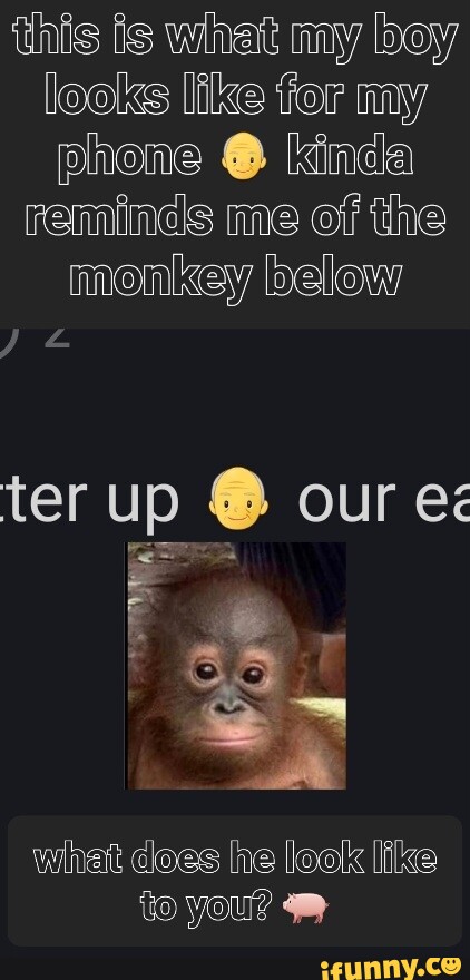 little monkey boy look at da sky : r/memes