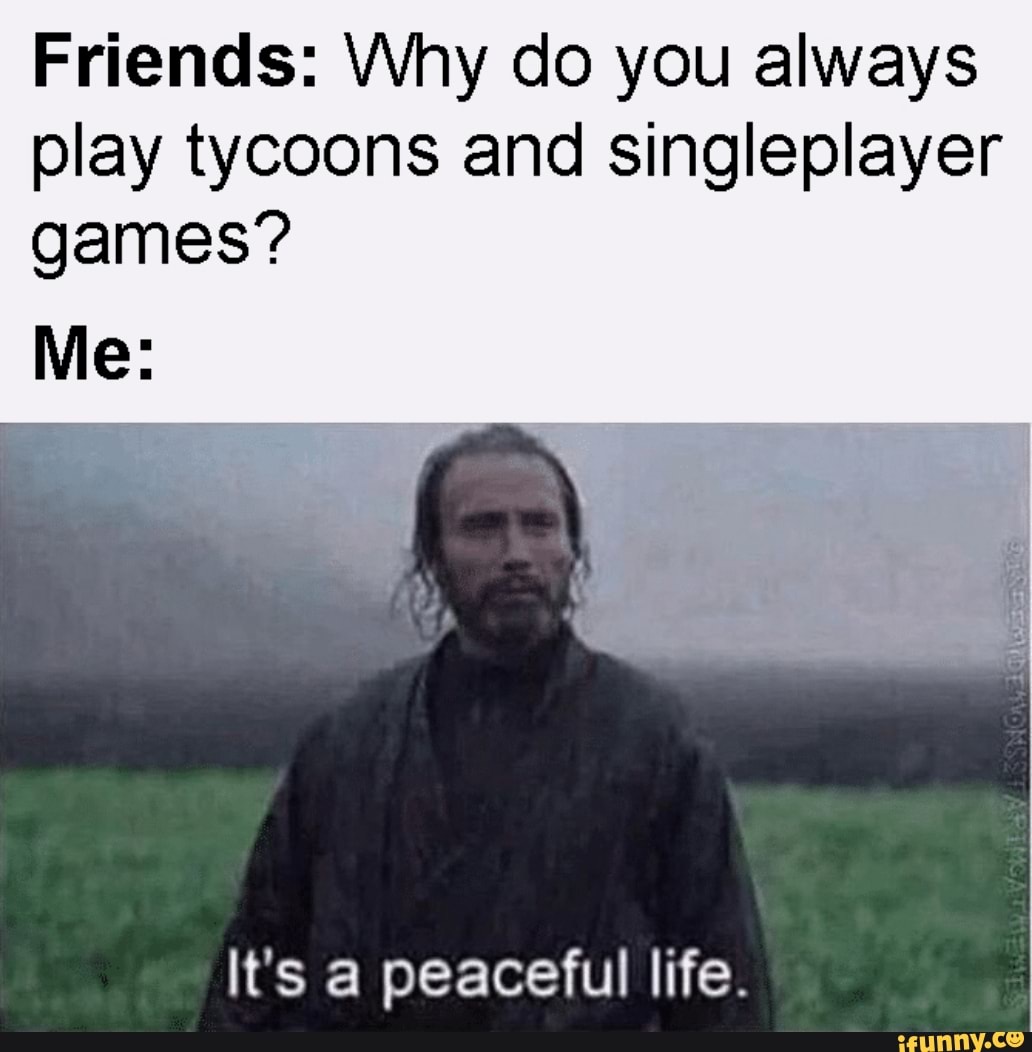 Plays single player game No one interrupts *Plays online multiplayer game -  iFunny Brazil