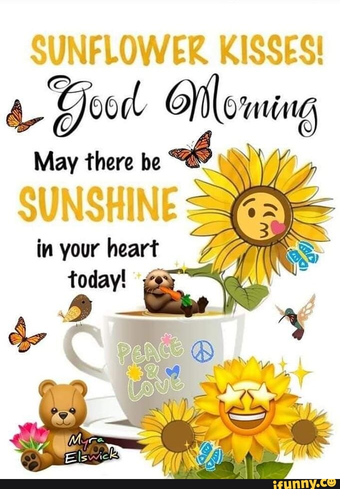 Good Morning Everyone Have a wonderful Monday Morning