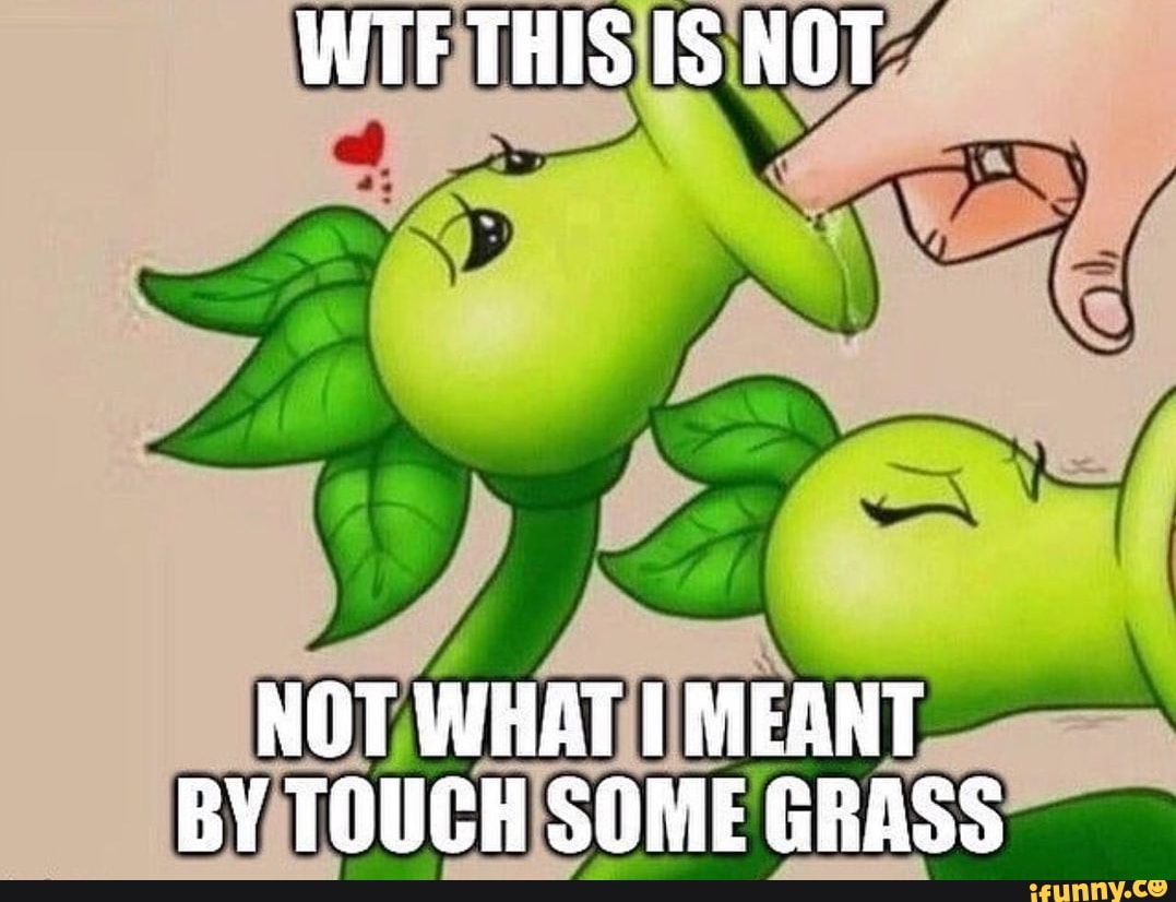 WTF THIS IS NOT NOT WHAT MEANT BY TOUCH SOME GRASS - iFunny Brazil