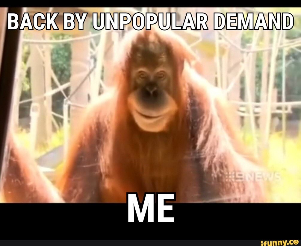 Monkey Memes (@MonkeyMemes) / X