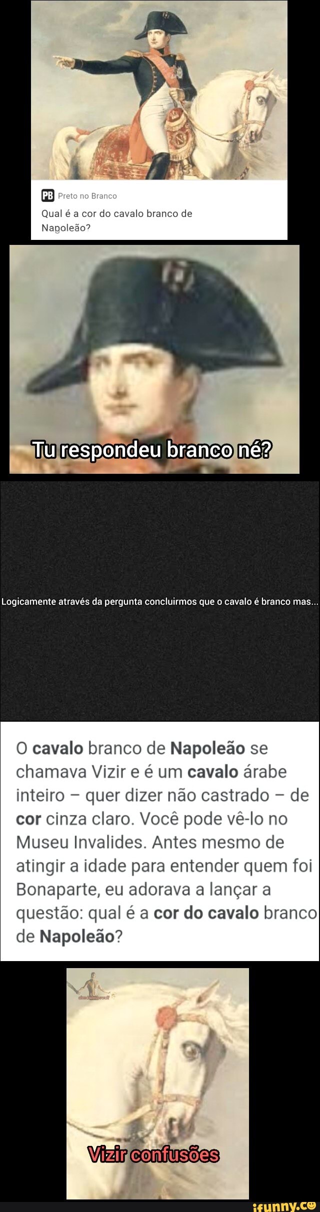 O cavalo branco de Napoleão