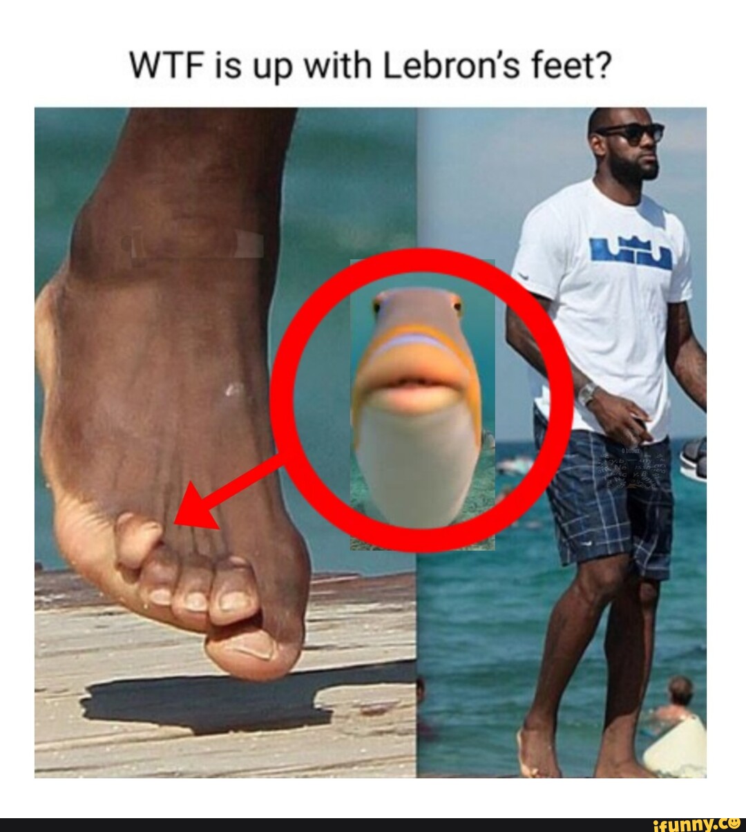 Lebrons feet best sale