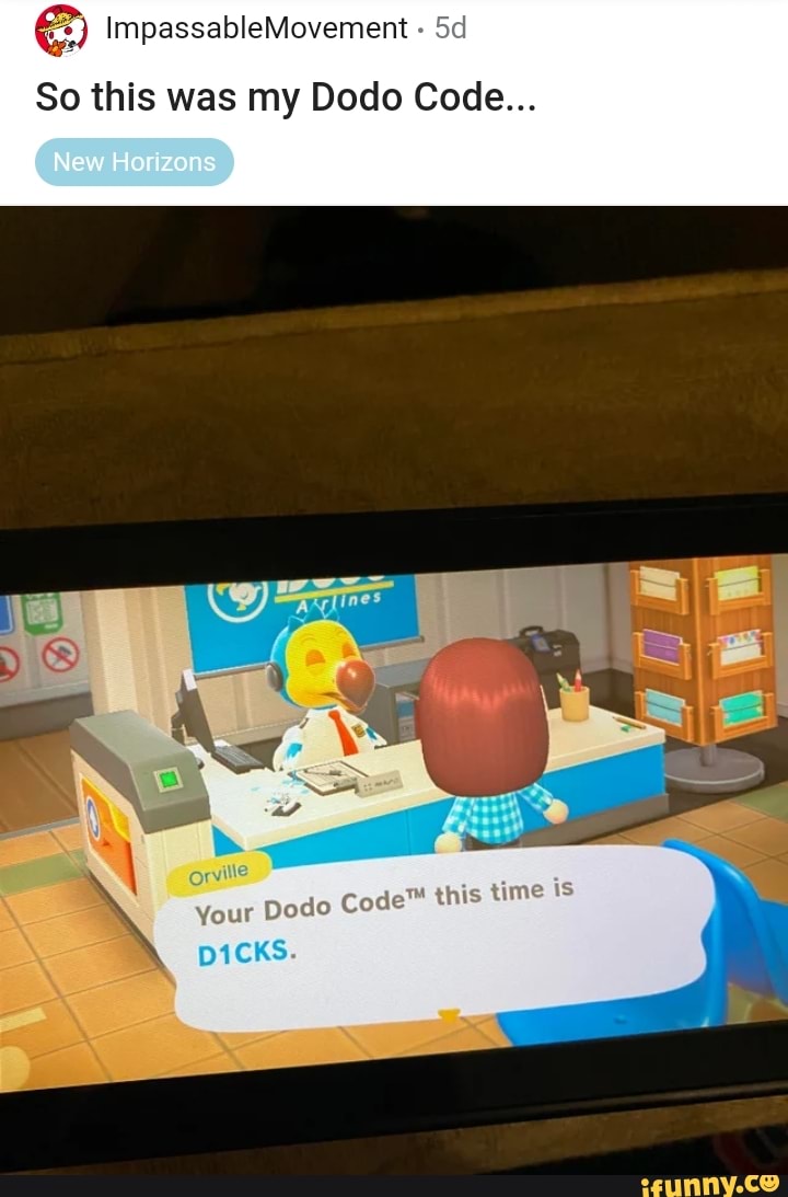 So this was my Dodo Code : AnimalCrossing