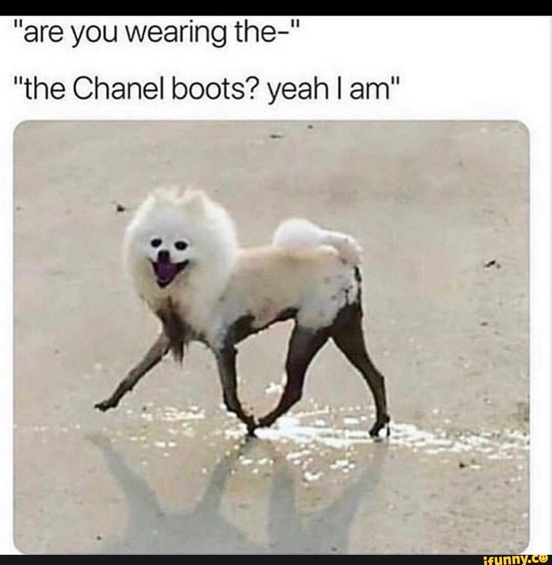 Dog chanel sales boots