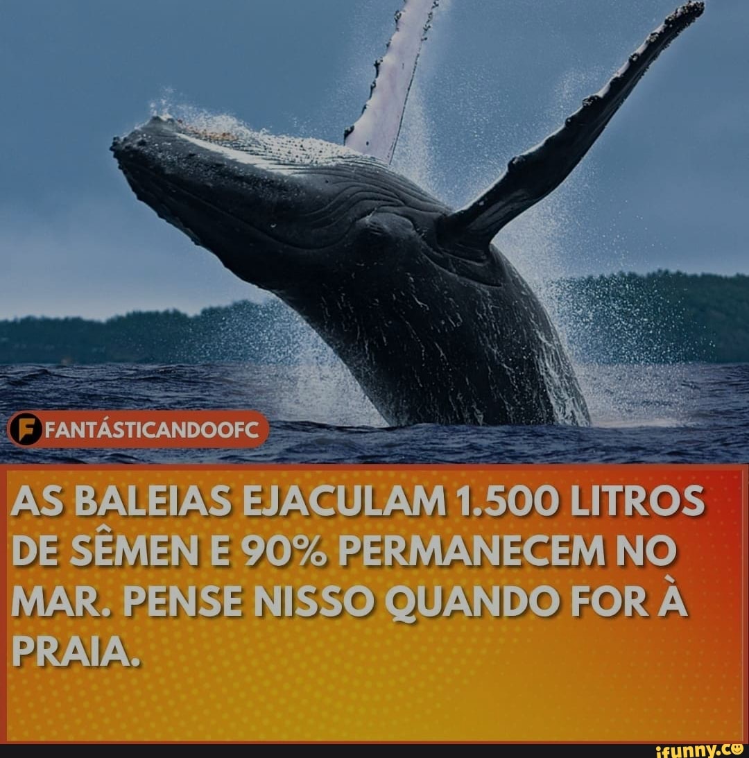 AS BALEIA AS EJACULA AM 1.500 LITROS DE SÊMEN E 90% PERMANECEM NO MAR.  PENSE NISSO QUANDO FOR À PRAIA. - iFunny Brazil