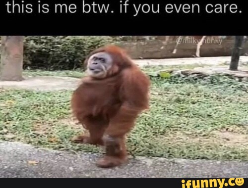 This is me btw. if you even care. - iFunny Brazil