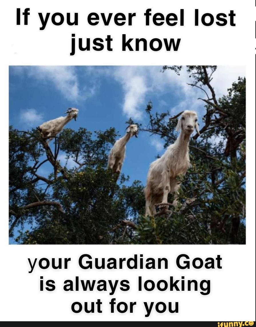 goat meme feels good