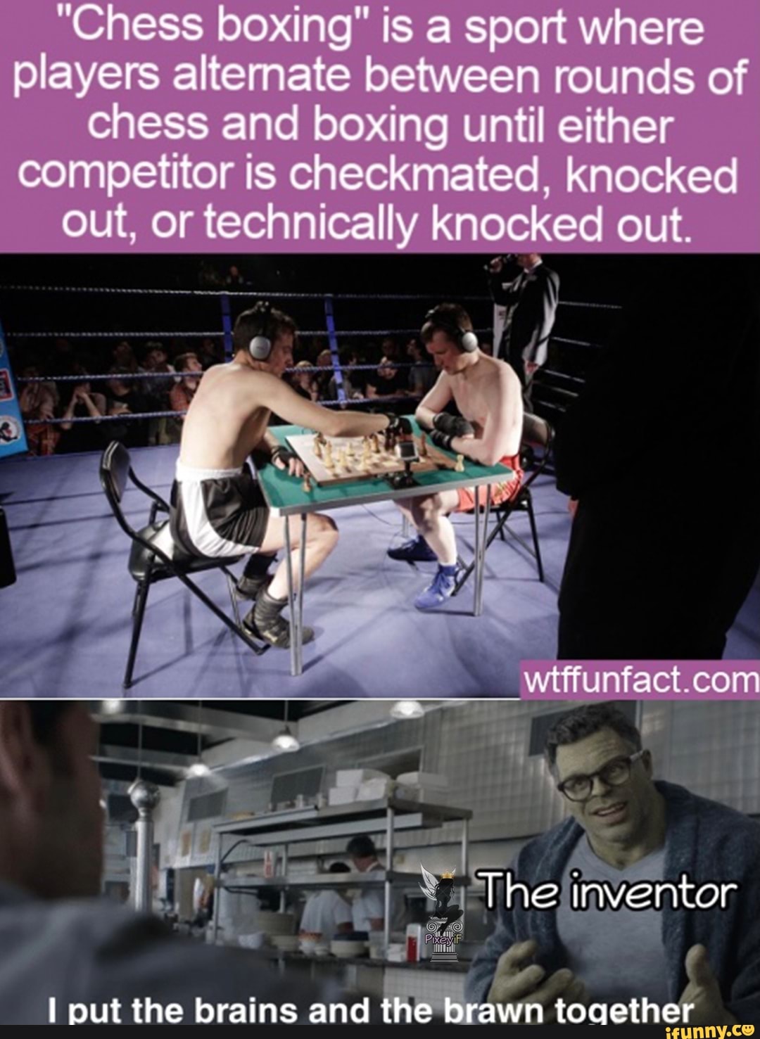 WTF Fun Fact - Chess Boxing
