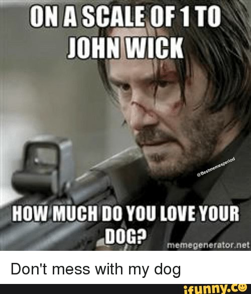 Don’t ever mess with his dog ? - GON A SCALE OF JOHN WICK HOW MUCH DO ...