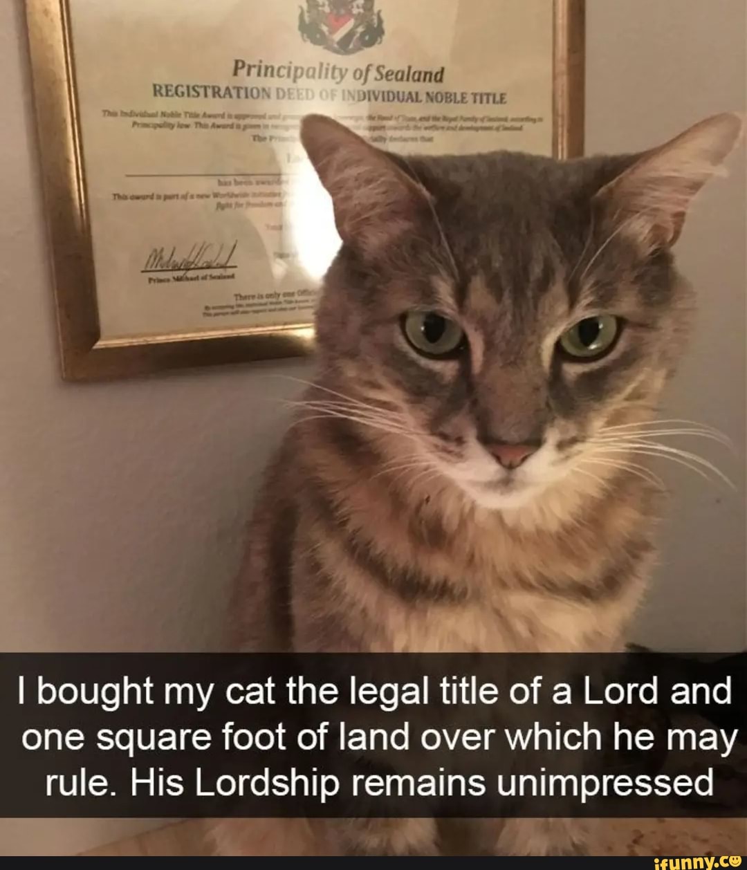 AL, Sealand IVIDUAL NOBLE TITLE I bought my cat the legal title of a