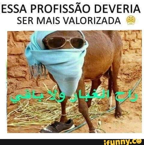 Moceré a vergonha da profissão! - iFunny Brazil