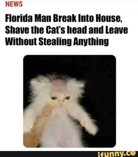 NEWS Florida Man Break Into House, Shave the Cat's head and Leave