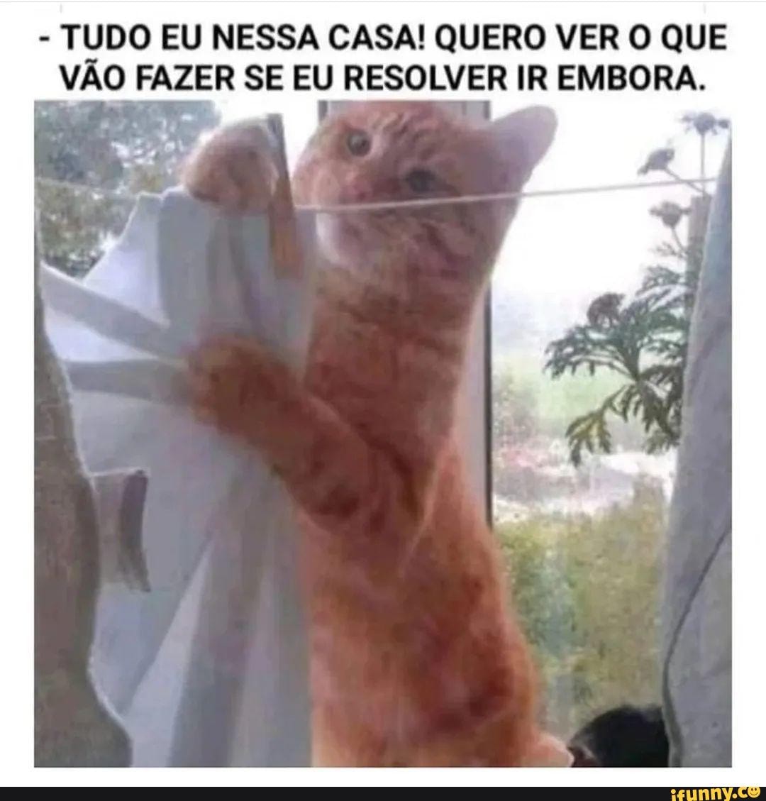 🤣🤣🤣 #memesbrasil #memes #memesbr #memesbrasileiros #coisasengracadas  #videosengracados #sorria #risos #meme #post #memesengraçados #memes😂  #memestagram #memesbr #memesdobrasil #southamericamemes #zoeira #piadas  #humorista #comedia #humorinteligente