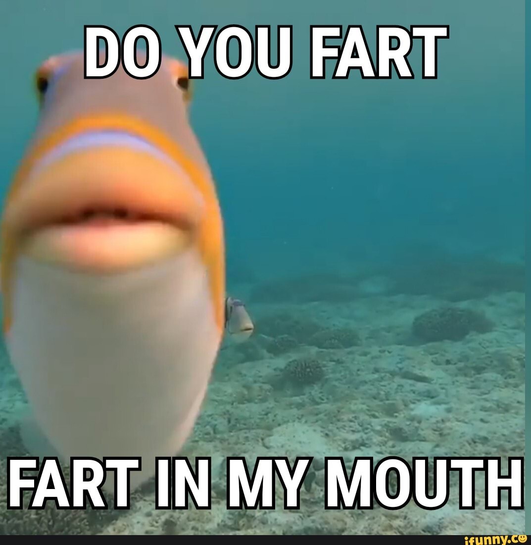 FART IN MY MOUTH - iFunny Brazil