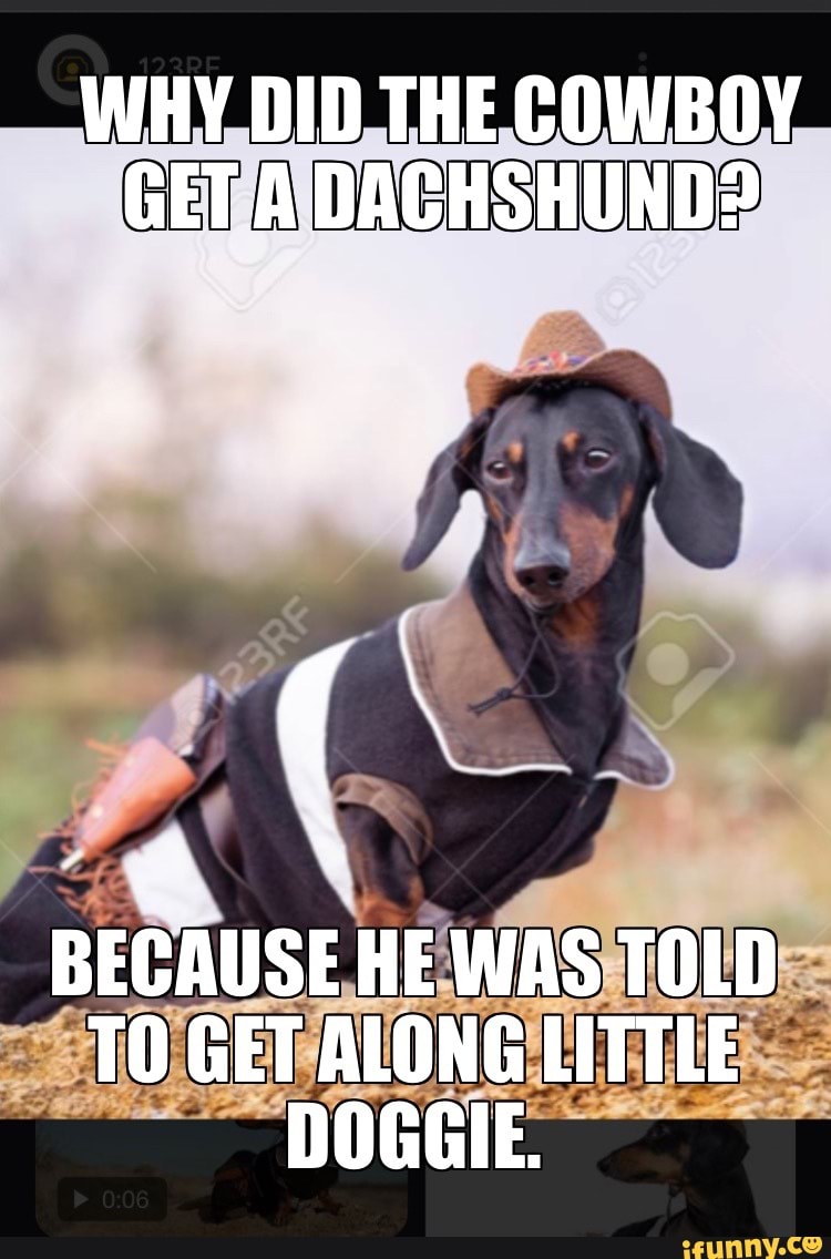 Why Did The Cowboy Get A Dachshund? , 