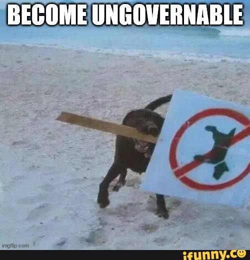 Ungovernable memes. Best Collection of funny Ungovernable pictures on iFunny Brazil