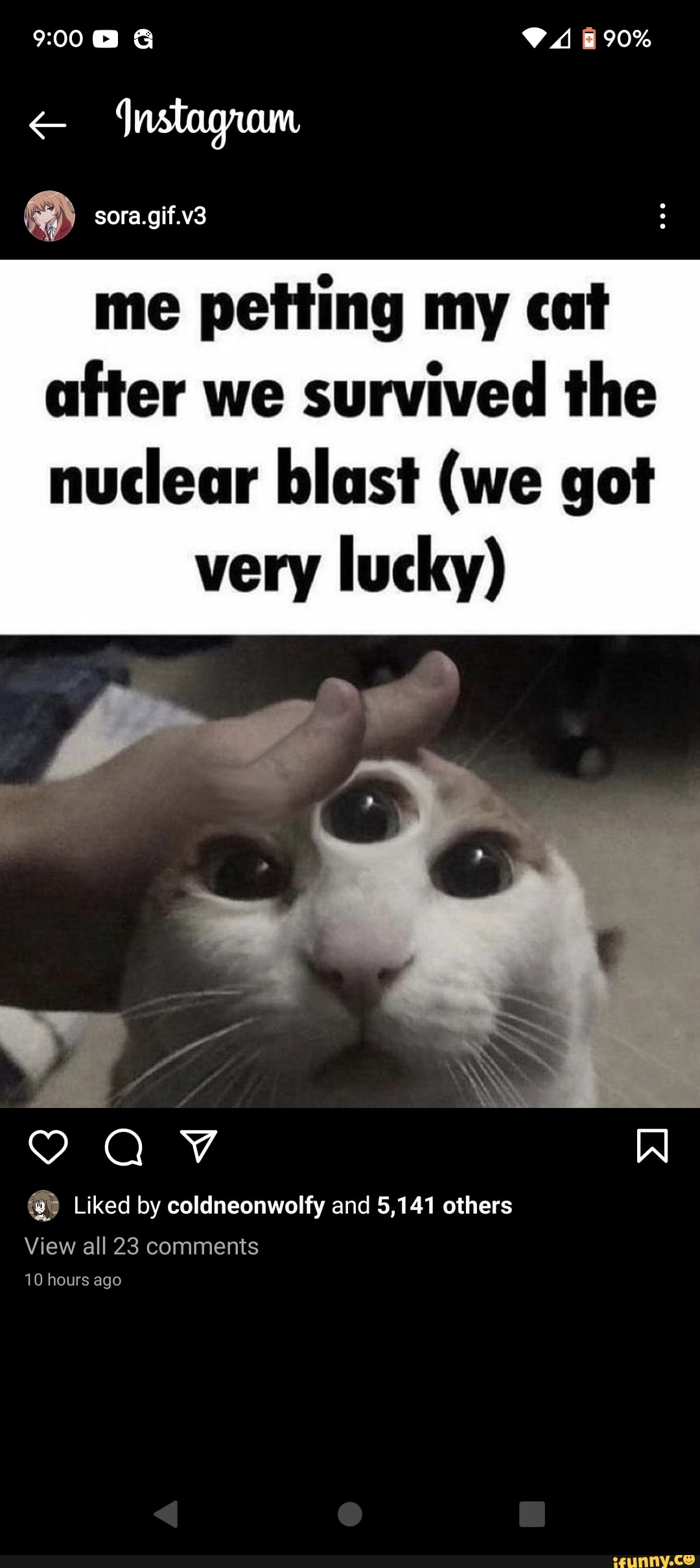 900@ 90% Instagram sora.gif.v3 me petting my cat after we survived the  nuclear blast (we got very lucky) AV Liked by coldneonwolfy and 5,141  others View all 23 comments 10 hours ago - iFunny Brazil