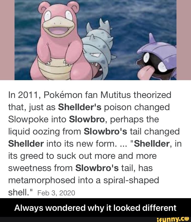 Shellder Pokédex: stats, moves, evolution & locations | Pokémon Database