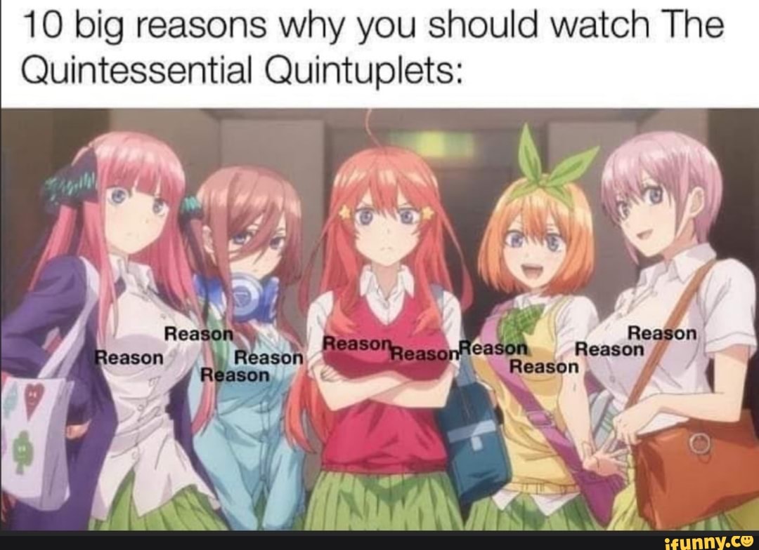 10 big reasons why you should watch The Quintessential Quintuplets: Reason  Roason ( - iFunny Brazil