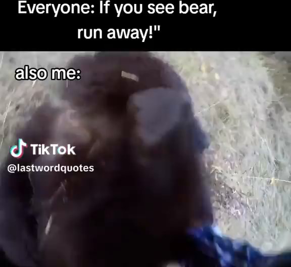 Face reveallyes, i am bear) - iFunny