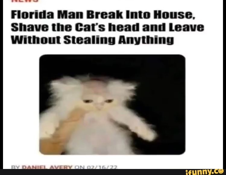 Florida Man Break Into House Shave The Cats Head And Leave Without