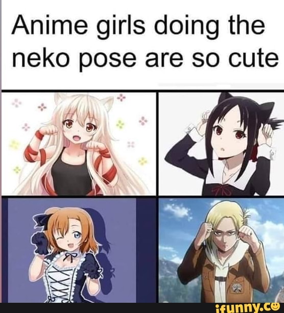 Pin de ❃⃔୭ᤢ⃘᭪ྀNekoposa୭ᤢ⃘᭪ྀ em 『 Animes/Games 』Memes