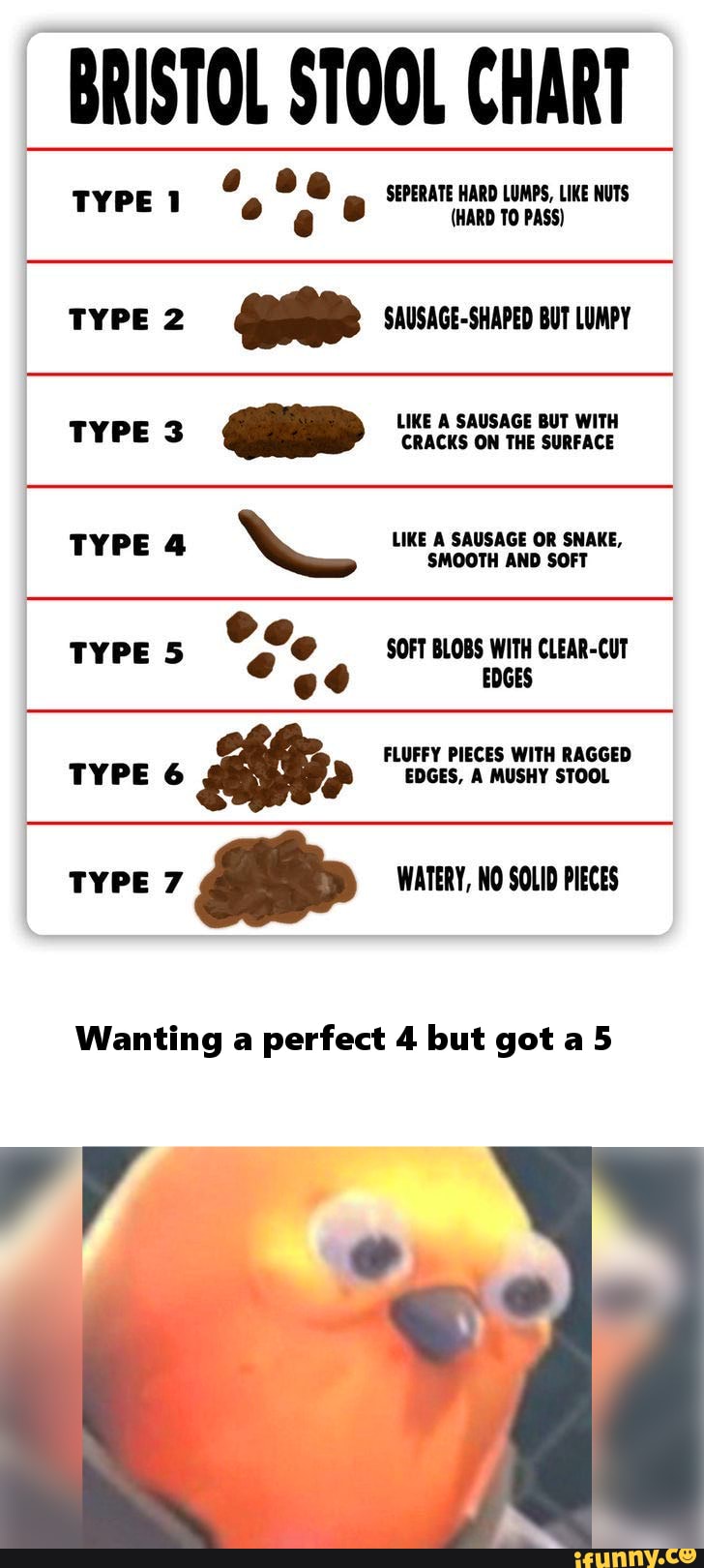 BRISTOL STOOL CHART SEPERATE HARD LUMPS, LIKE NUTS TYPEt e (HARD TO
