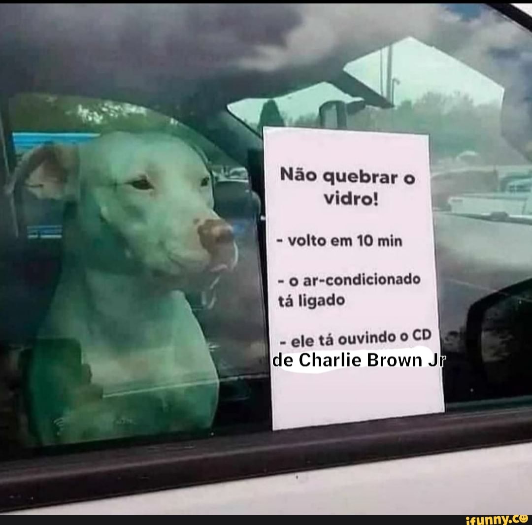 Pra quem tem Humor quebrado kkkkk #humortik #meme #VozTransformers #me