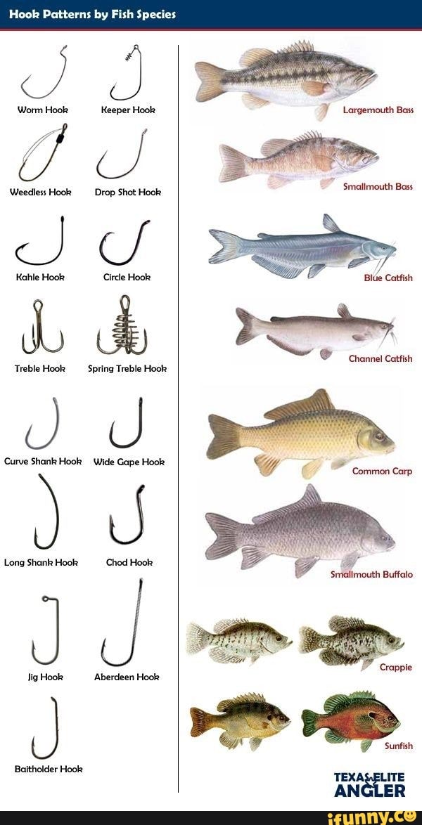 Hook Patterns by Fish Species Weedless Hook Drop Shot Hook Kahle