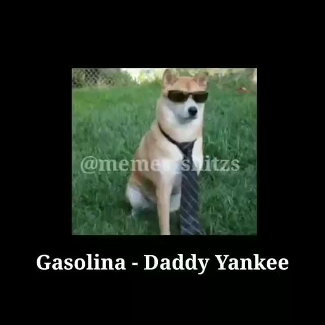 Theyankeereport memes. Best Collection of funny Theyankeereport pictures on  iFunny Brazil