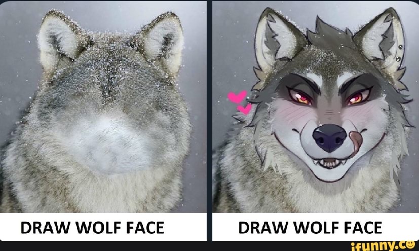 Draw wolf face meme — Weasyl