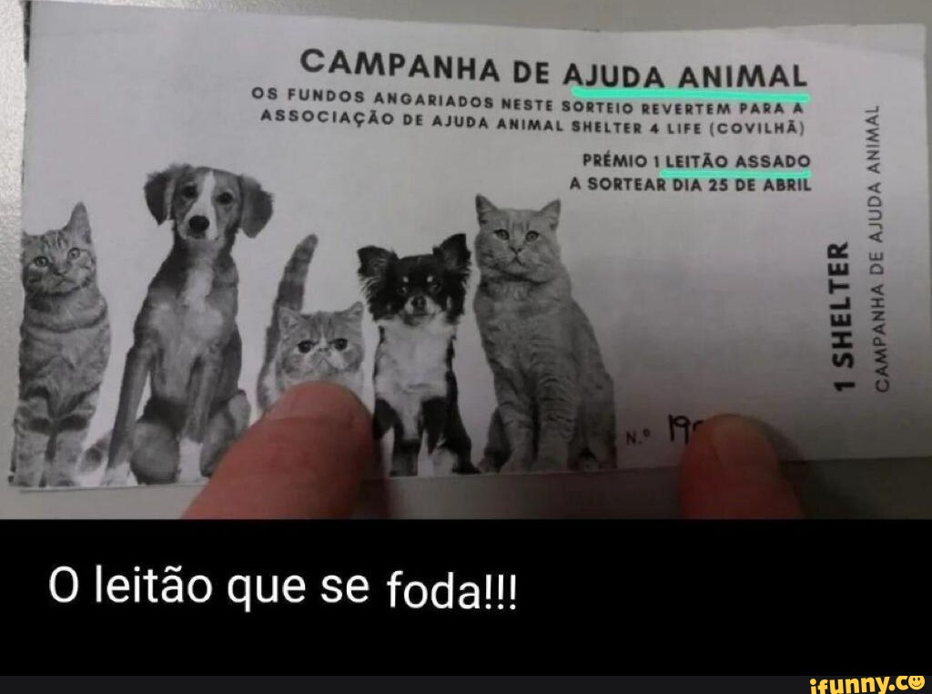 Covabra Supermercados entrega doações da campanha Minha Sorte é Animal -  Sincovaga