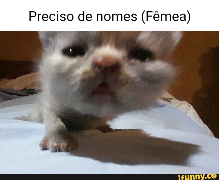 325 BD risroc Visitar nomes de meninas lindas 8308 As imagens podem ter  direitos autorais. Saiba mais Imagens relacionadas - iFunny Brazil