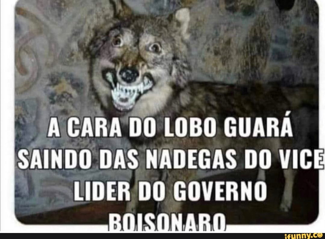 Memes de imagem 2XtgfBBo9 por nadigas_fofinhas: 1 comentário - iFunny Brazil