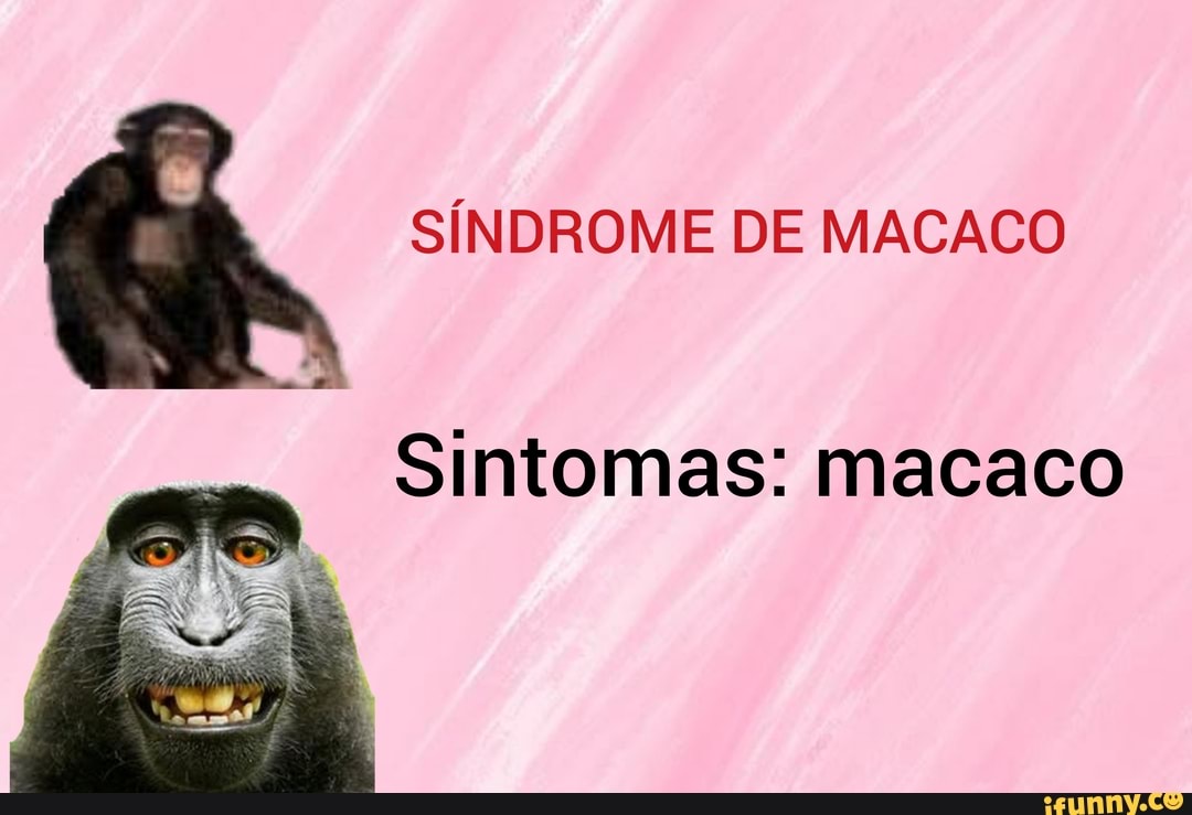 SÍNDROME DE MACACO Sintomas: macaco - iFunny Brazil