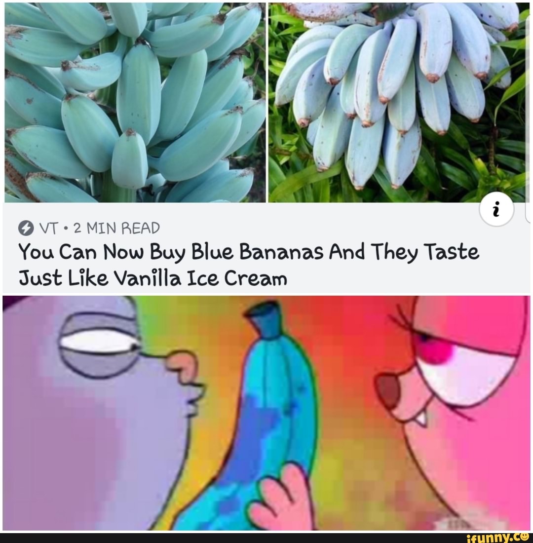 The Blue Banana That Tastes Just Like Vanilla Ice Cream - Nspirement