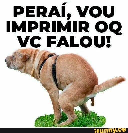 Vou imprimir isso - iFunny Brazil